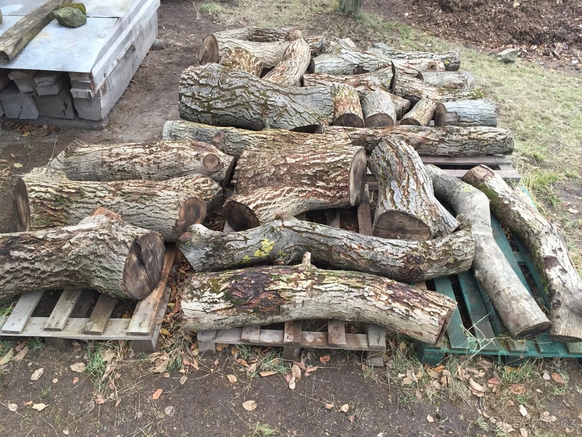 ořechové dřevo - 2