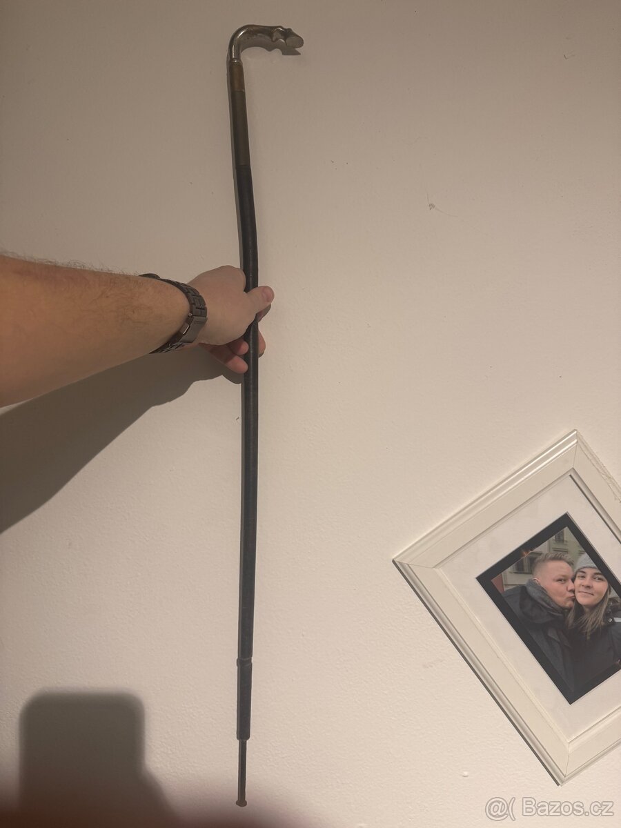 Vycházková hůl - 2