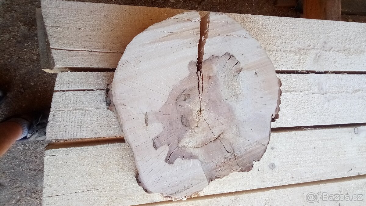 Jasanový koláč 45x50x6,5cm - 2
