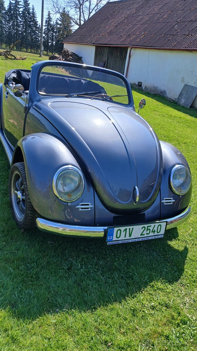 Vw.Brouk Speedster - 2