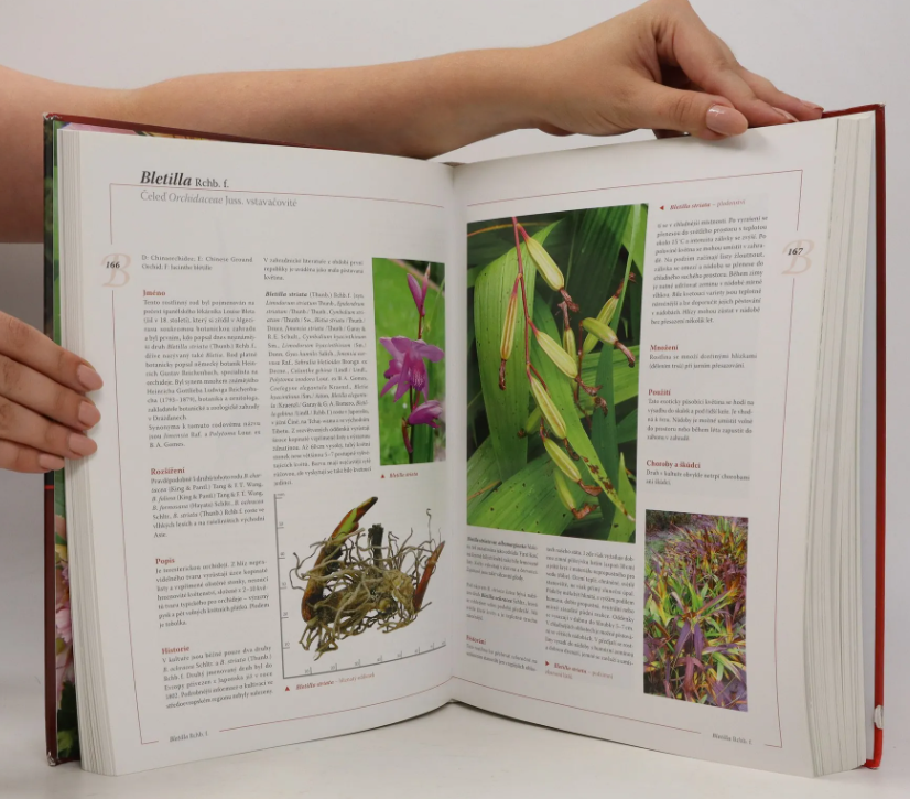 Encyklopedie tulipánů, hyacintů, begonií a dalších ..rostlin - 2