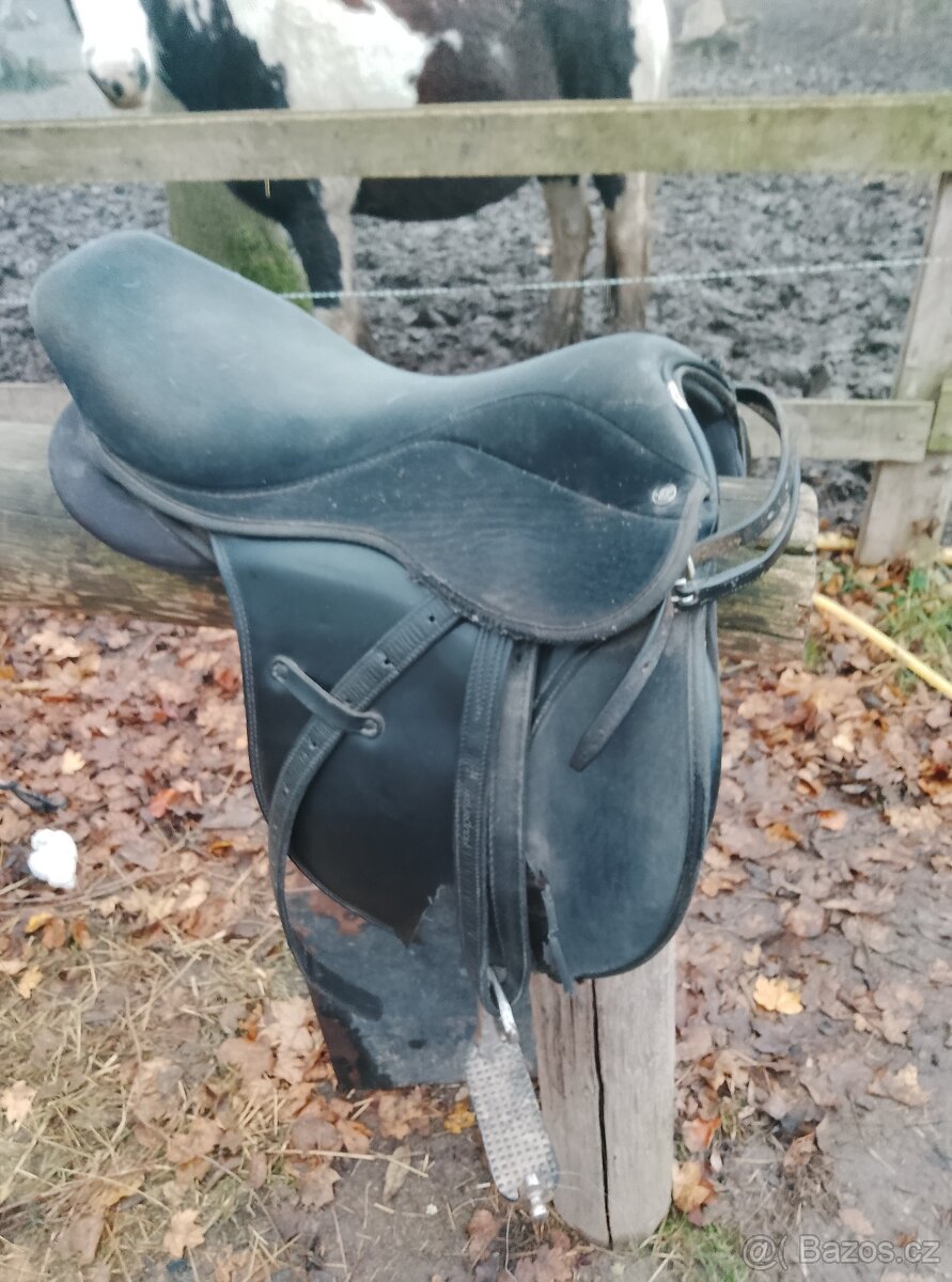 Anglicke sedlo posedli 15 - 2