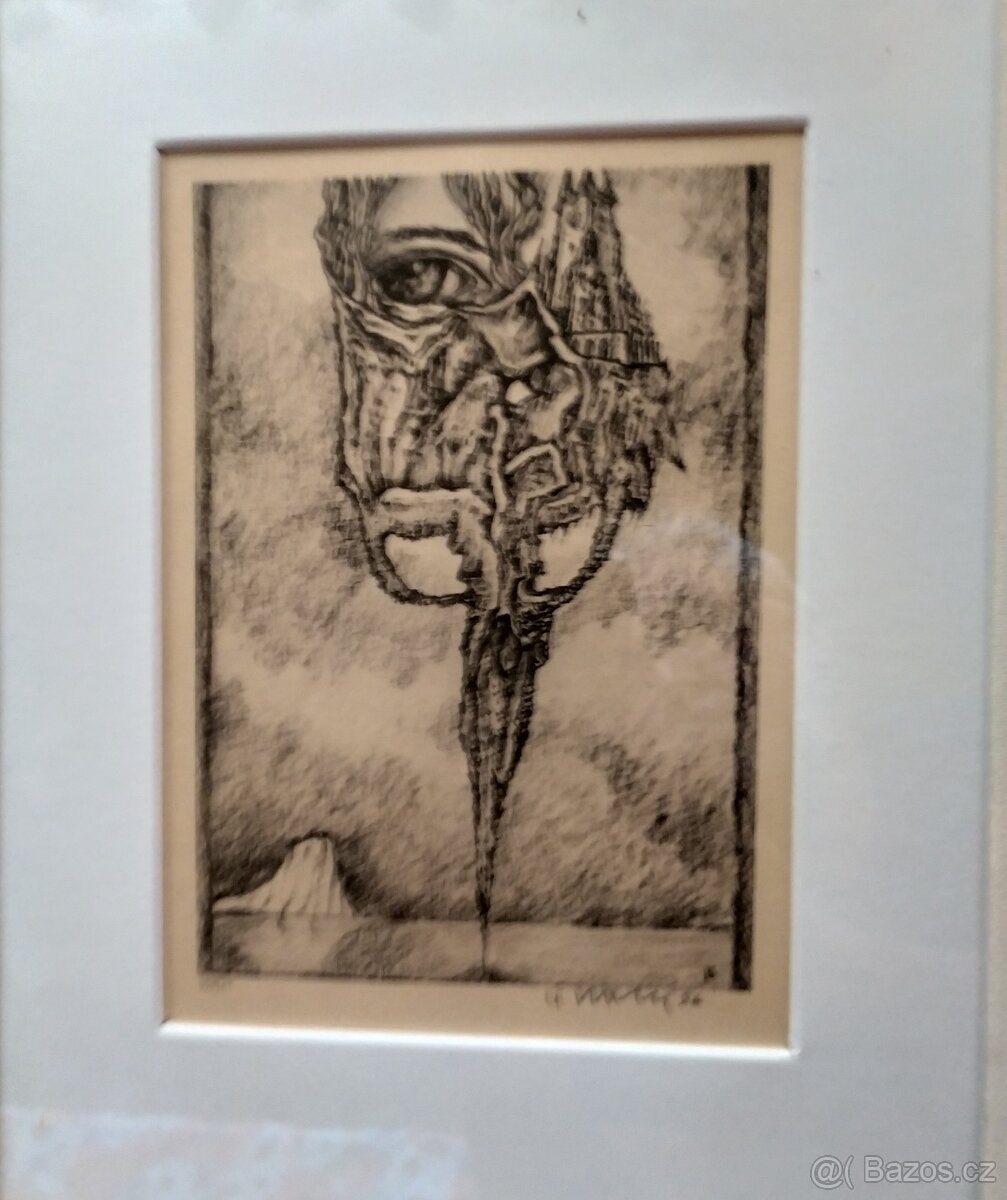 Nabízím grafický list v rámu" Oko v růži s hradem" - 2