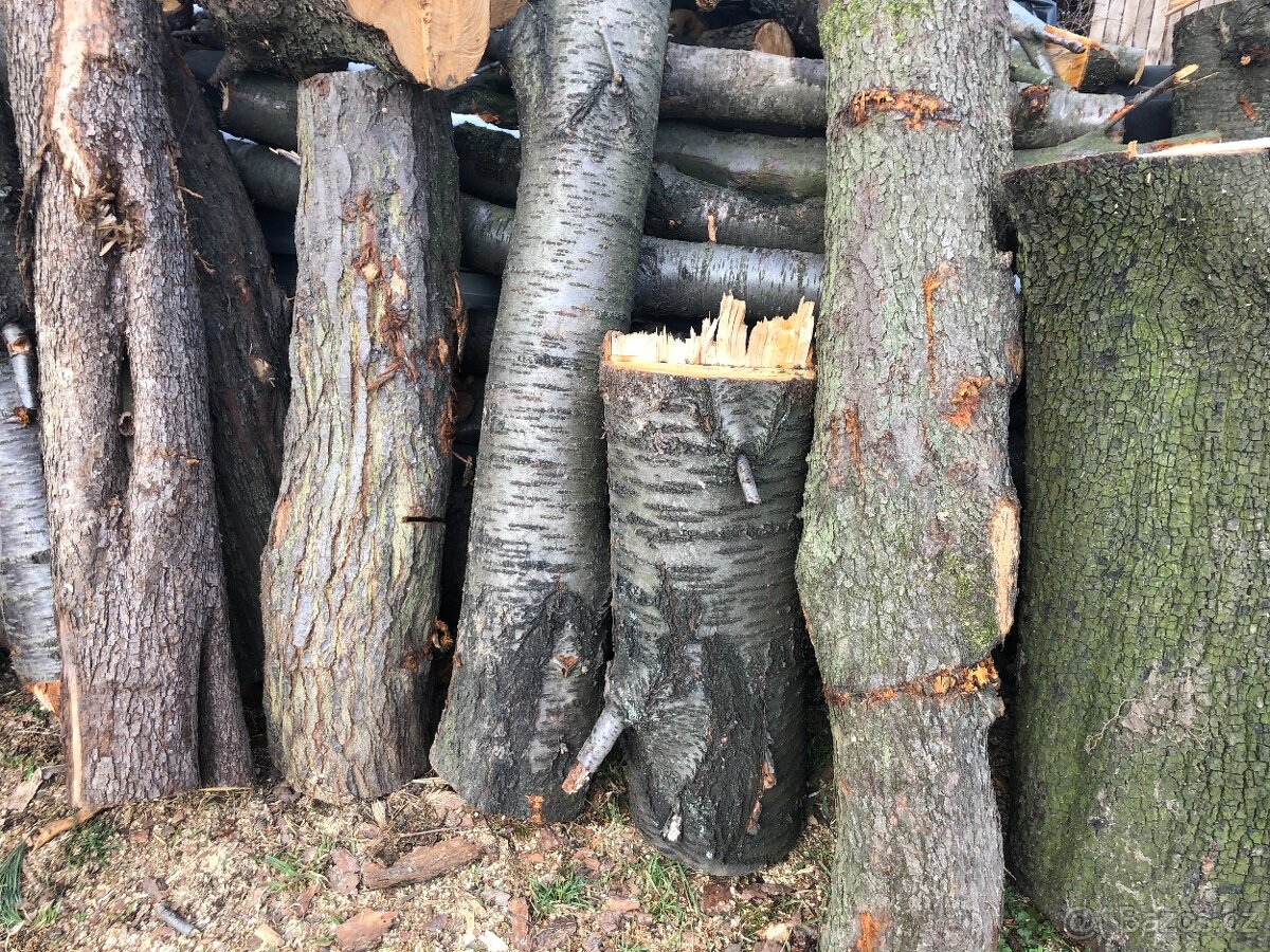 Prodej ovocného dřeva - 2