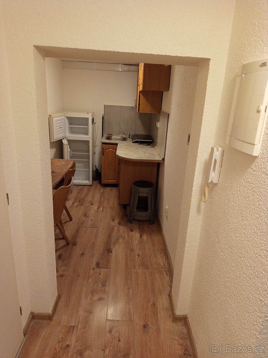 Byt 1+1 (cca. 45 m2)+ zahrada, Pkzeň, Slovany - 2