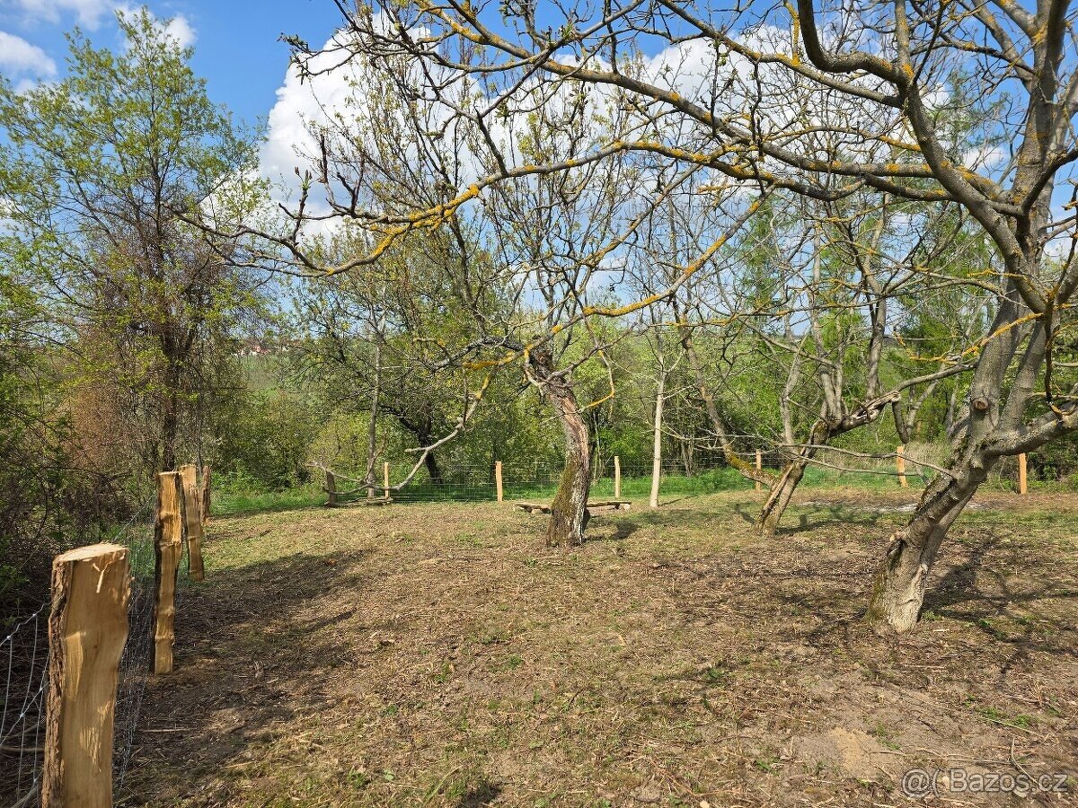 🌿 PRODEJ ZAHRADY – Újezdec u Osvětiman - 2