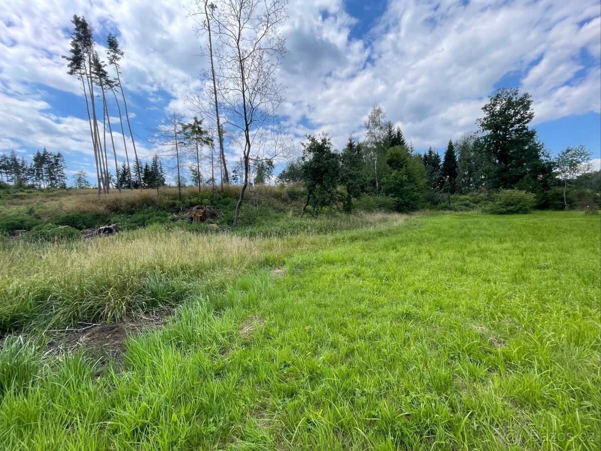 Prodej, pozemek 2131 m², Vlásenice okres Pelhřimov - 2