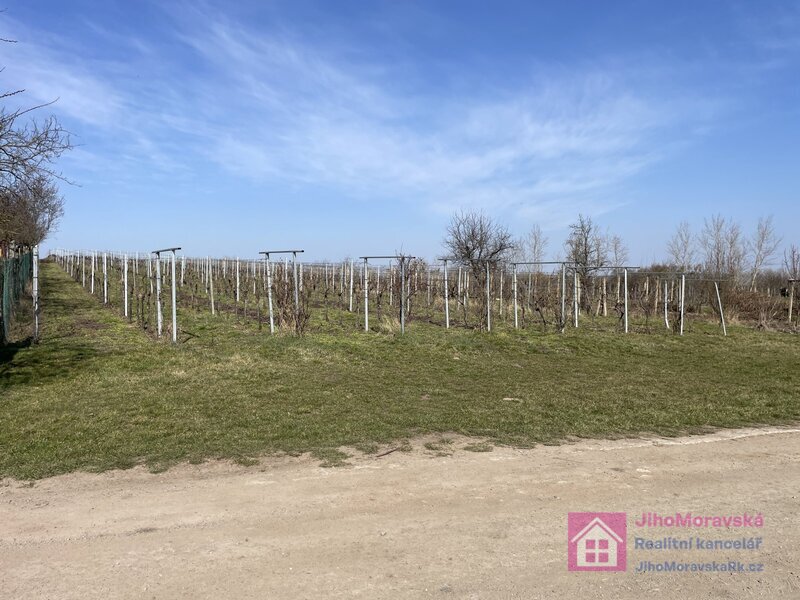 Prodej vinice v Rakvicích - 2
