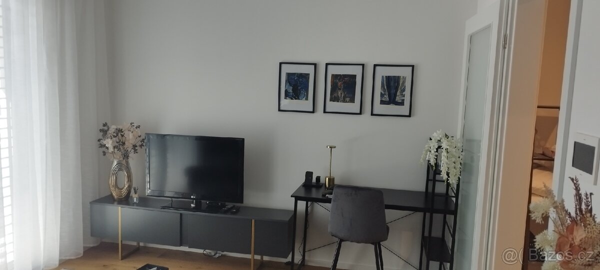 Pronajmu nový, zařízený byt 1kk 42m s terasou - Hagibor - 2