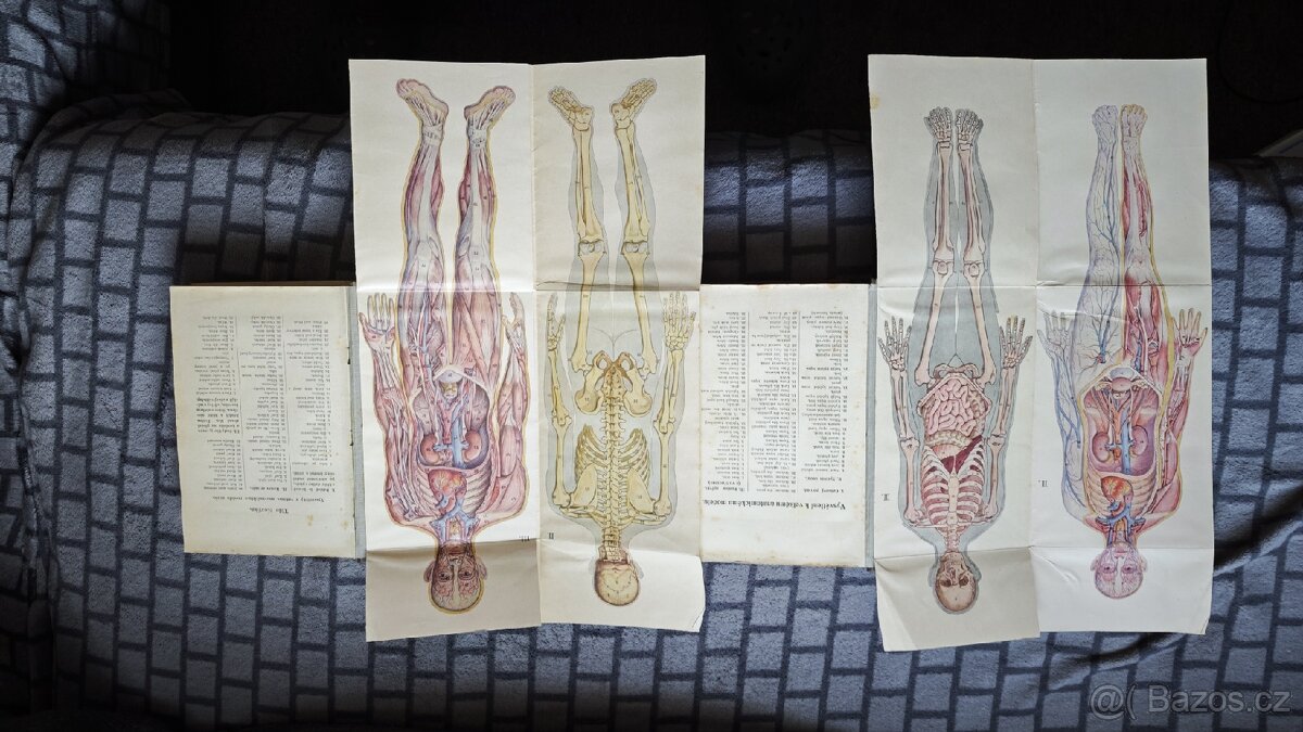 Přírodní léčba a domácí lékař - 2