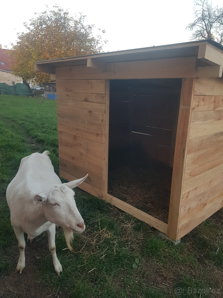 Přístřešek pro kozy, ovce, poníky... - 2