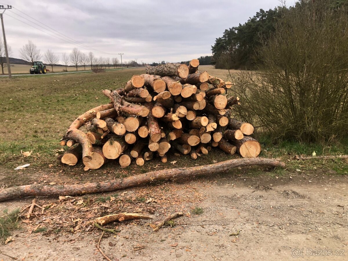 Palivové dřevo - 2