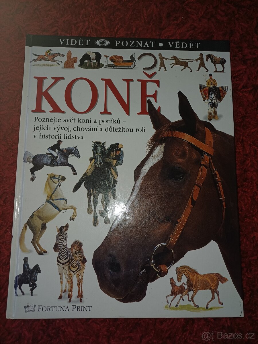 Koně - 2