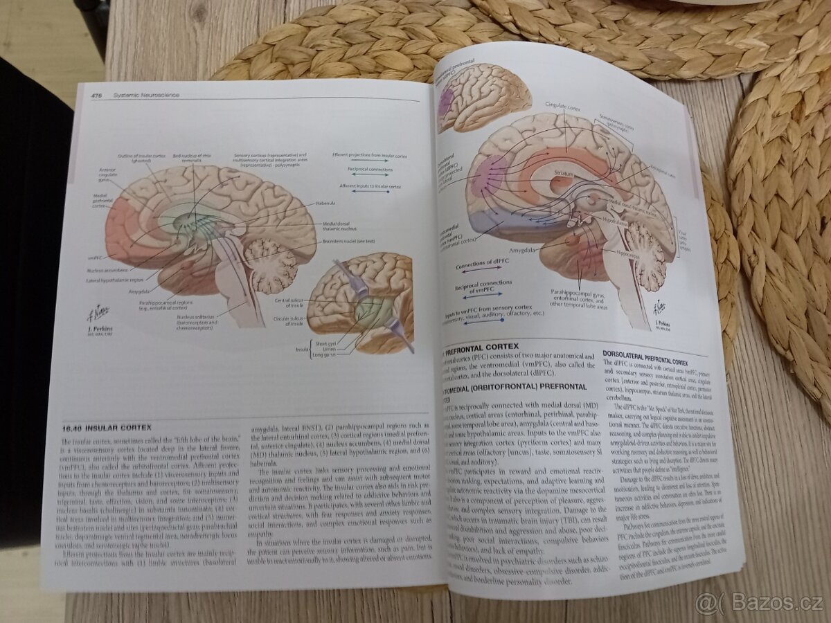 Netter's atlas of neuroscience 4th edition - Felten, neuroa - 2