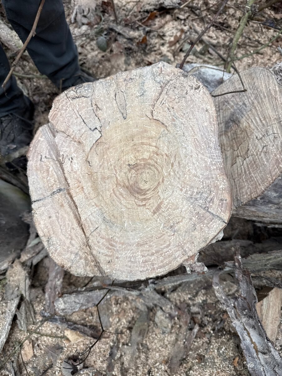 Palivové dřevo - 2