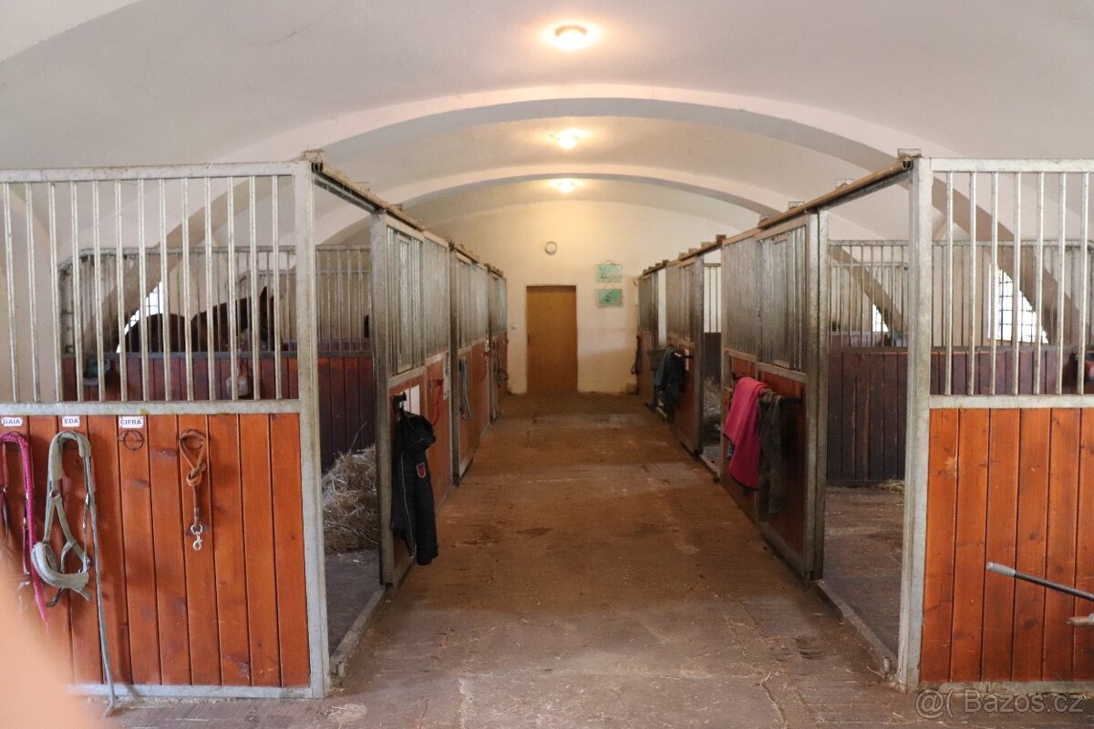 Ustájení koní na Šumavě - 2