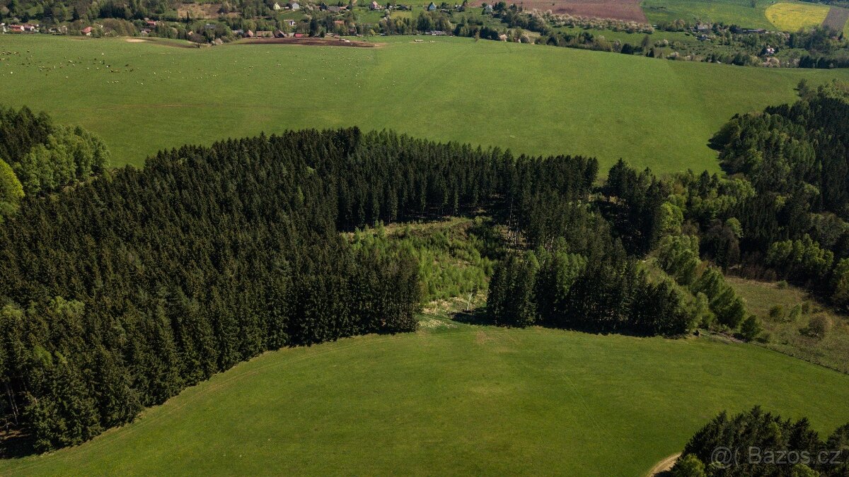 Prodej lesa 20336 m² – Heřmánkovice - 2