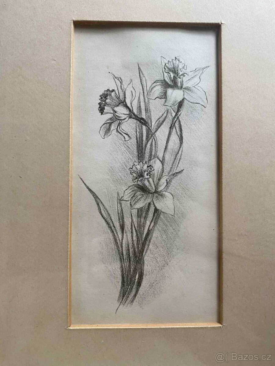 obraz - Bílkovský - 2