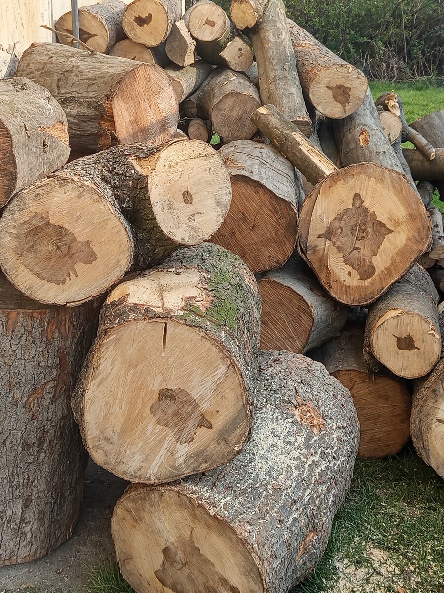 🔥 PALIVOVÉ DŘEVO - 2