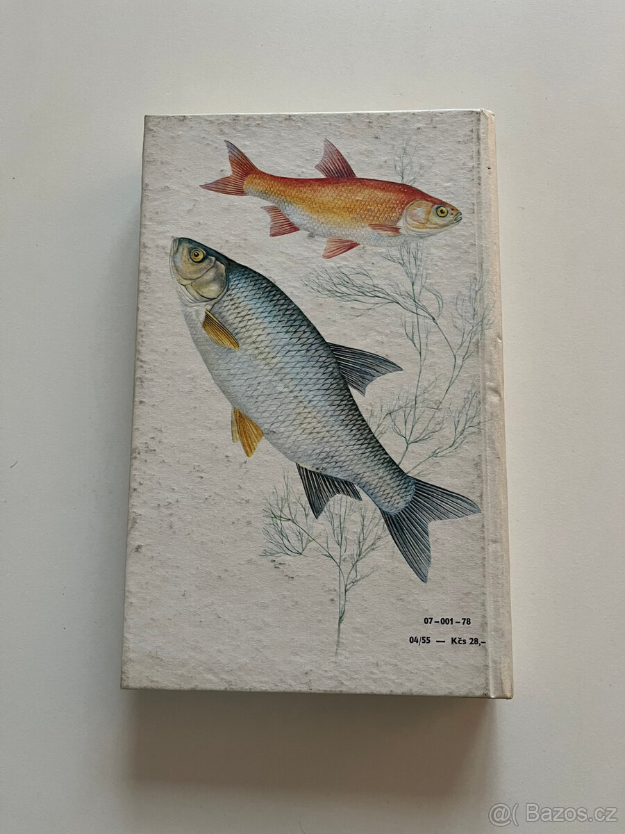 Sladkovodní ryby - 2