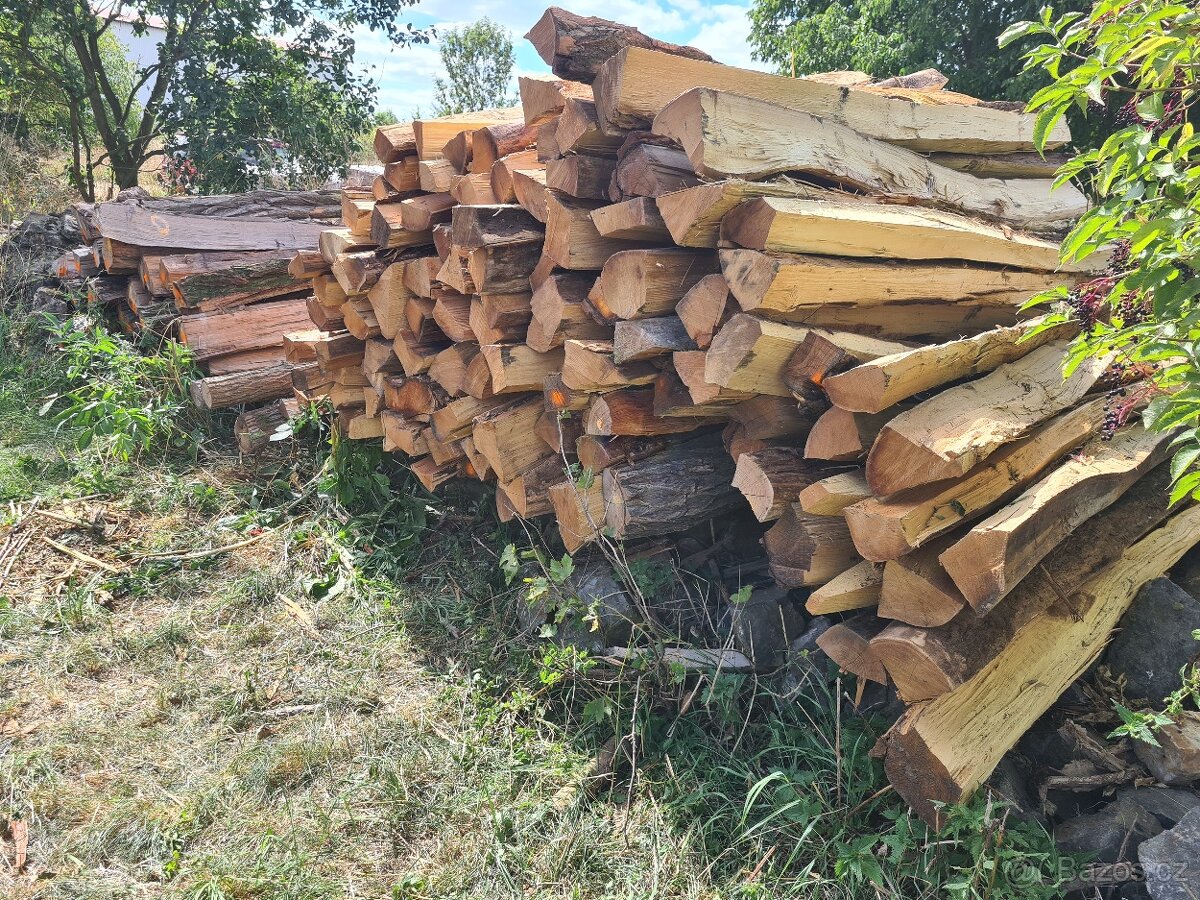 Akátové sloupky, akátové kůly, akát - 2