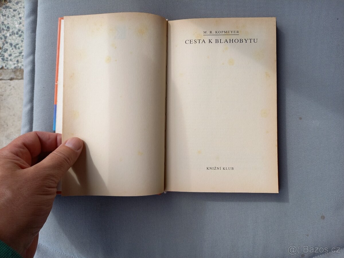 Cesta k blahobytu-M. R. Kopmeyer - 2