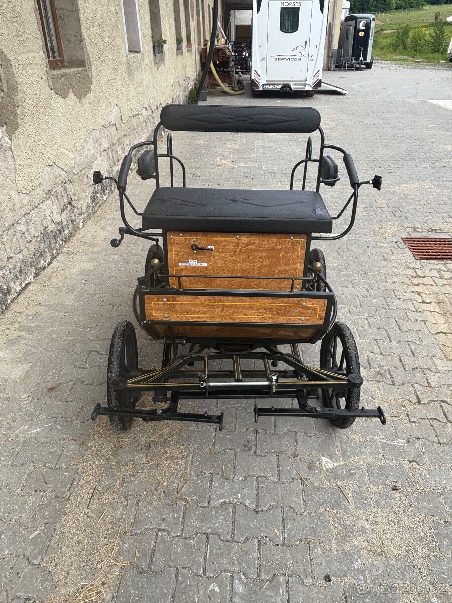 Wagoneta pony - 2