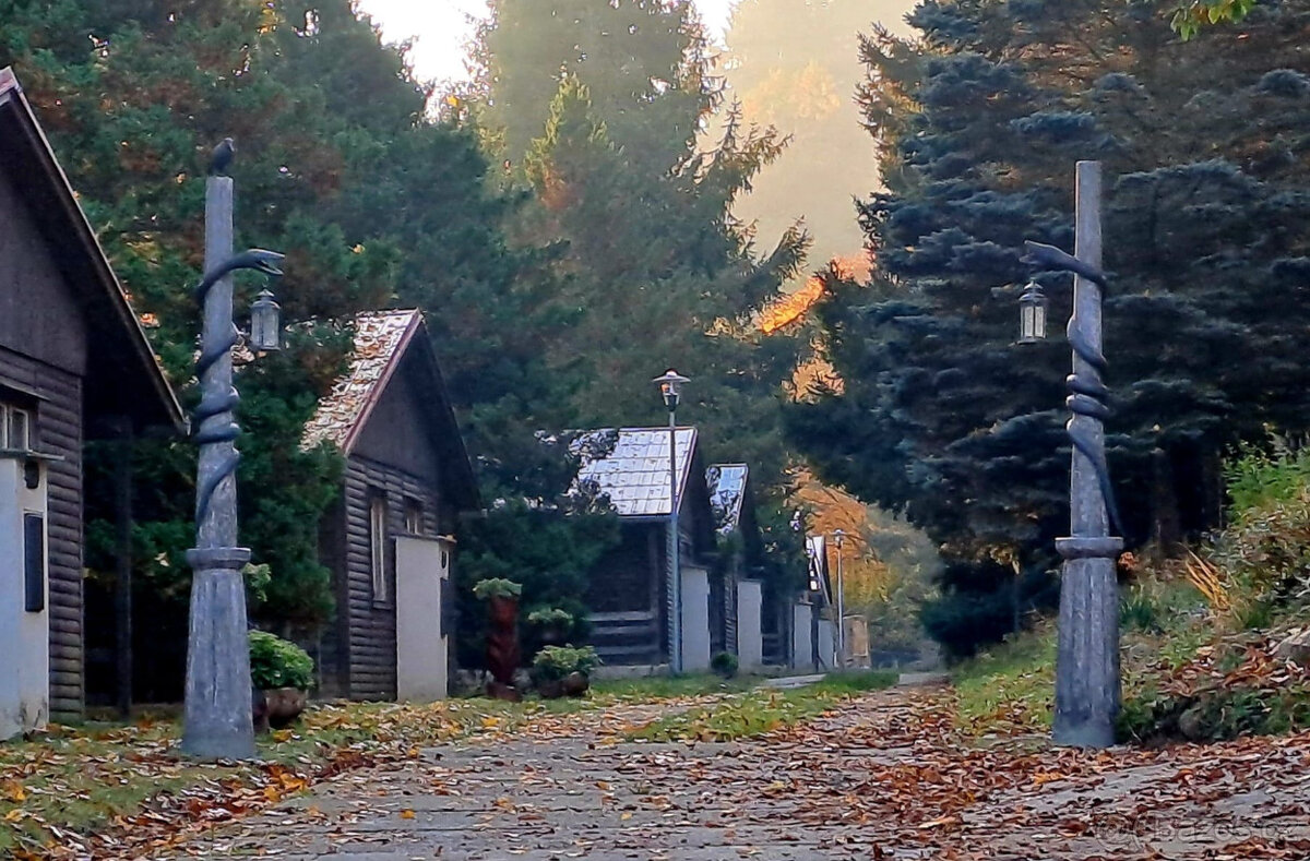 ZÁMEK VIDŽÍN PRONÁJEM - 2