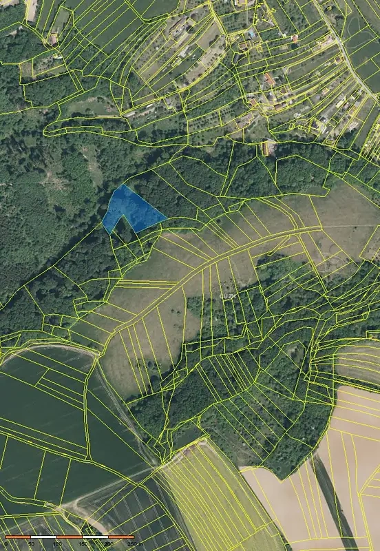 Prodej lesa 6255 m² Žlutava - 2