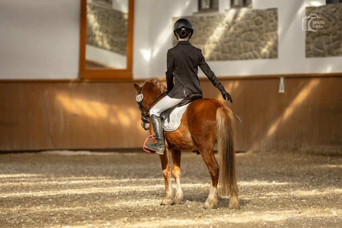 Pony S - 2