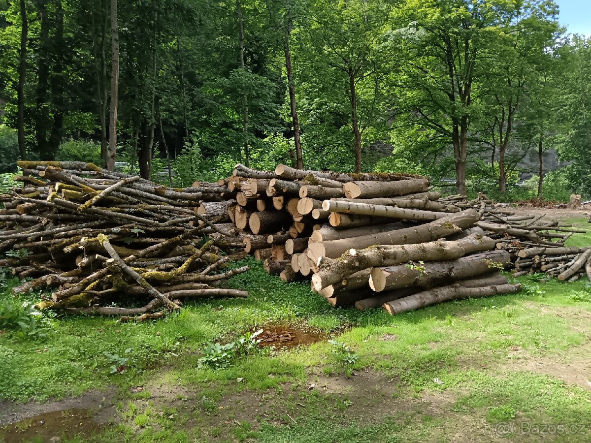 Dřevo na topení - 2