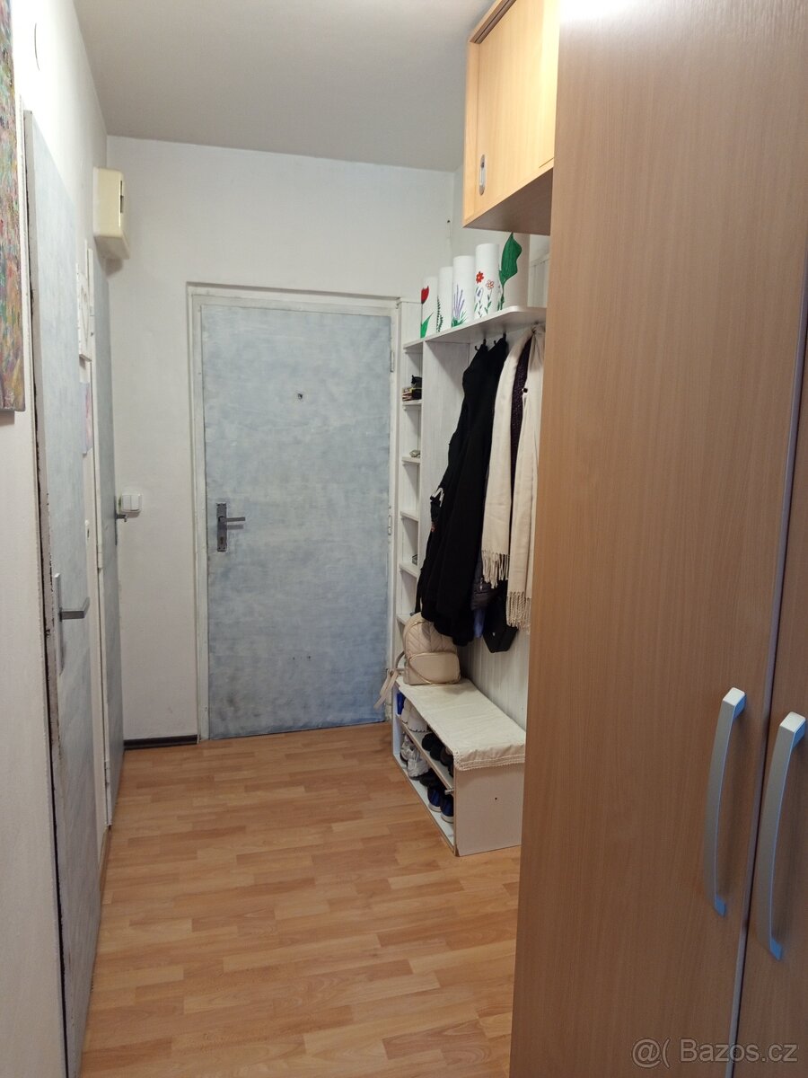 Pronájem bytu - 2