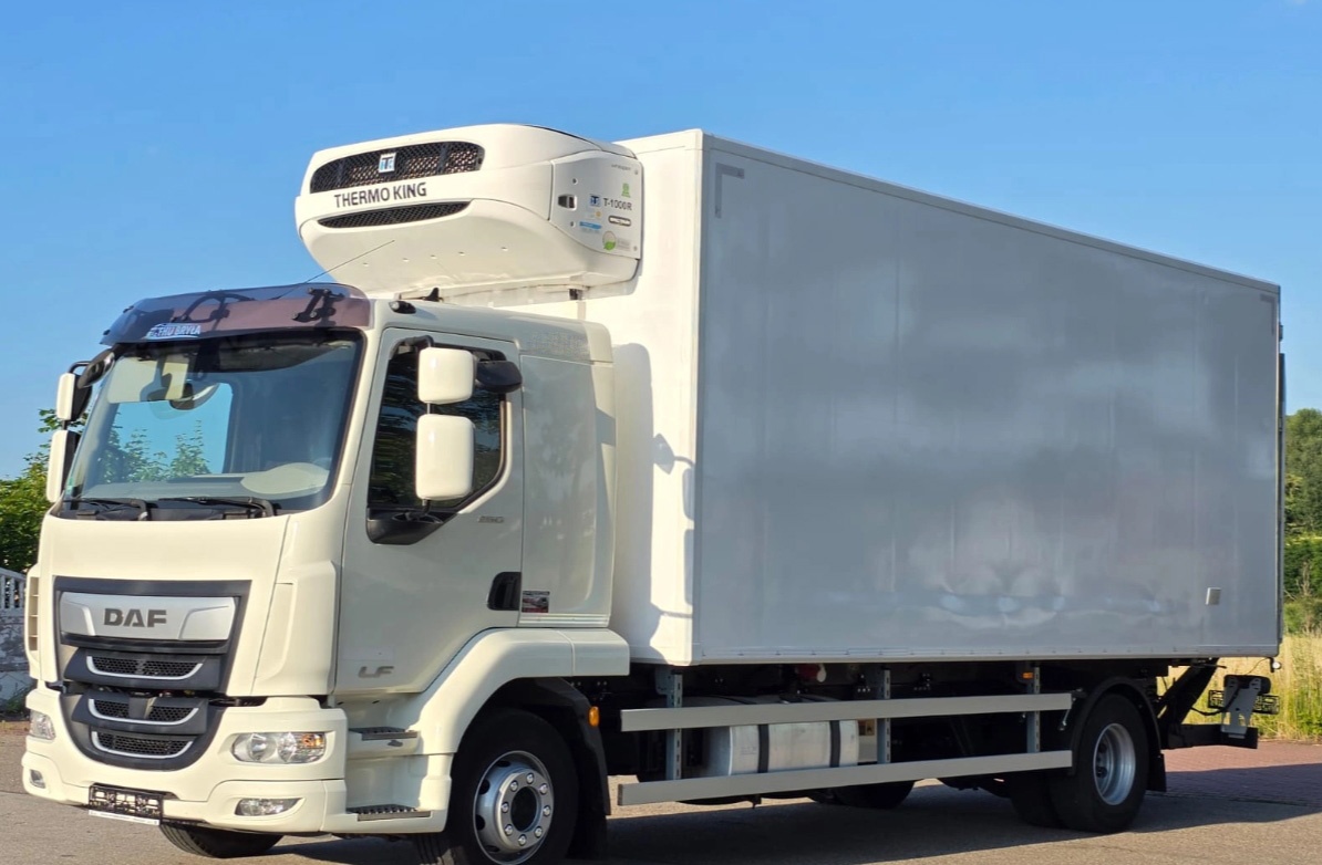 DAF LF 260 - 4x2 – Chlaďák – EURO 6 - 2