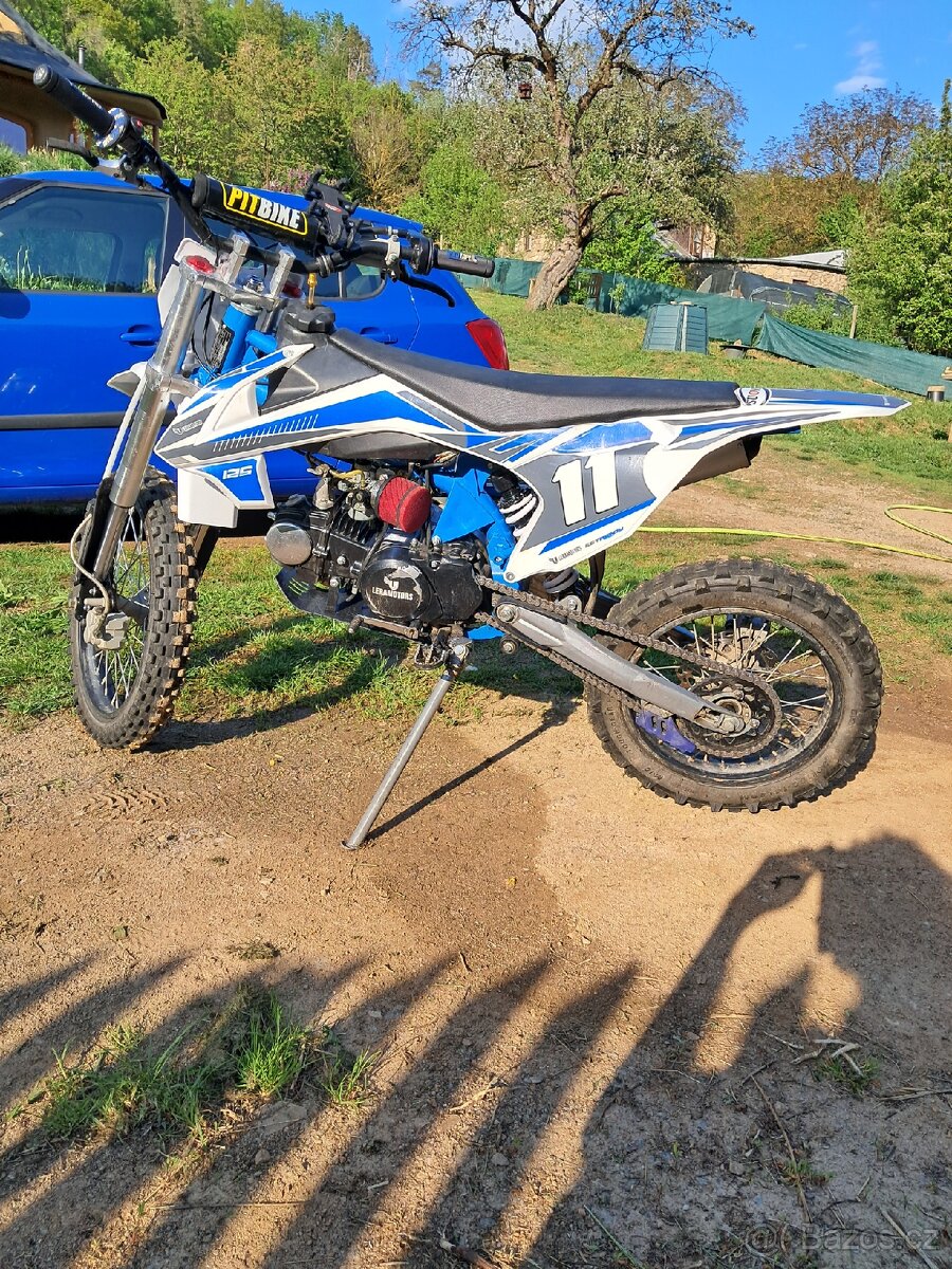 Pitbike Shark 125