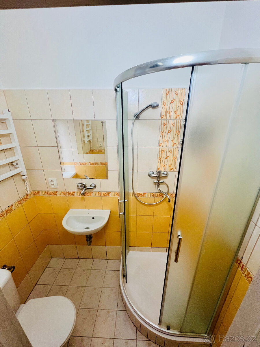 Pronájem bytu 2+1, Šternberk - 2