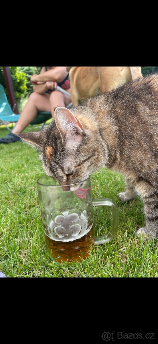 Darujeme Merlina a Meggie - 2