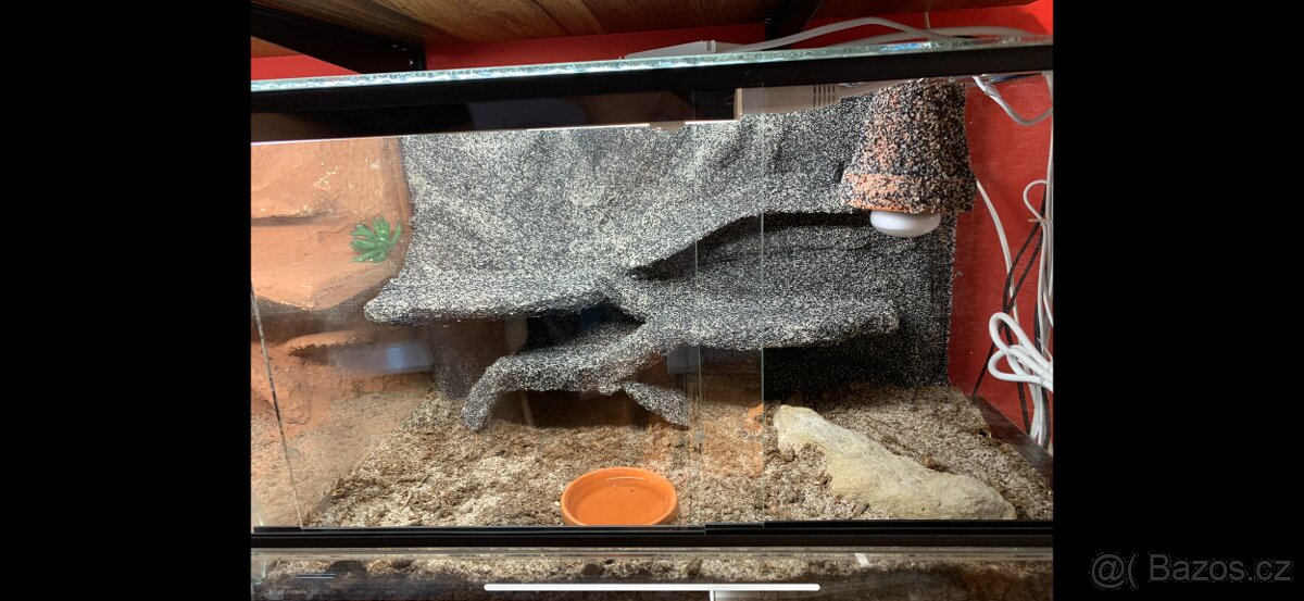 Terárium 60x40x30 s 3D stěnou - 2