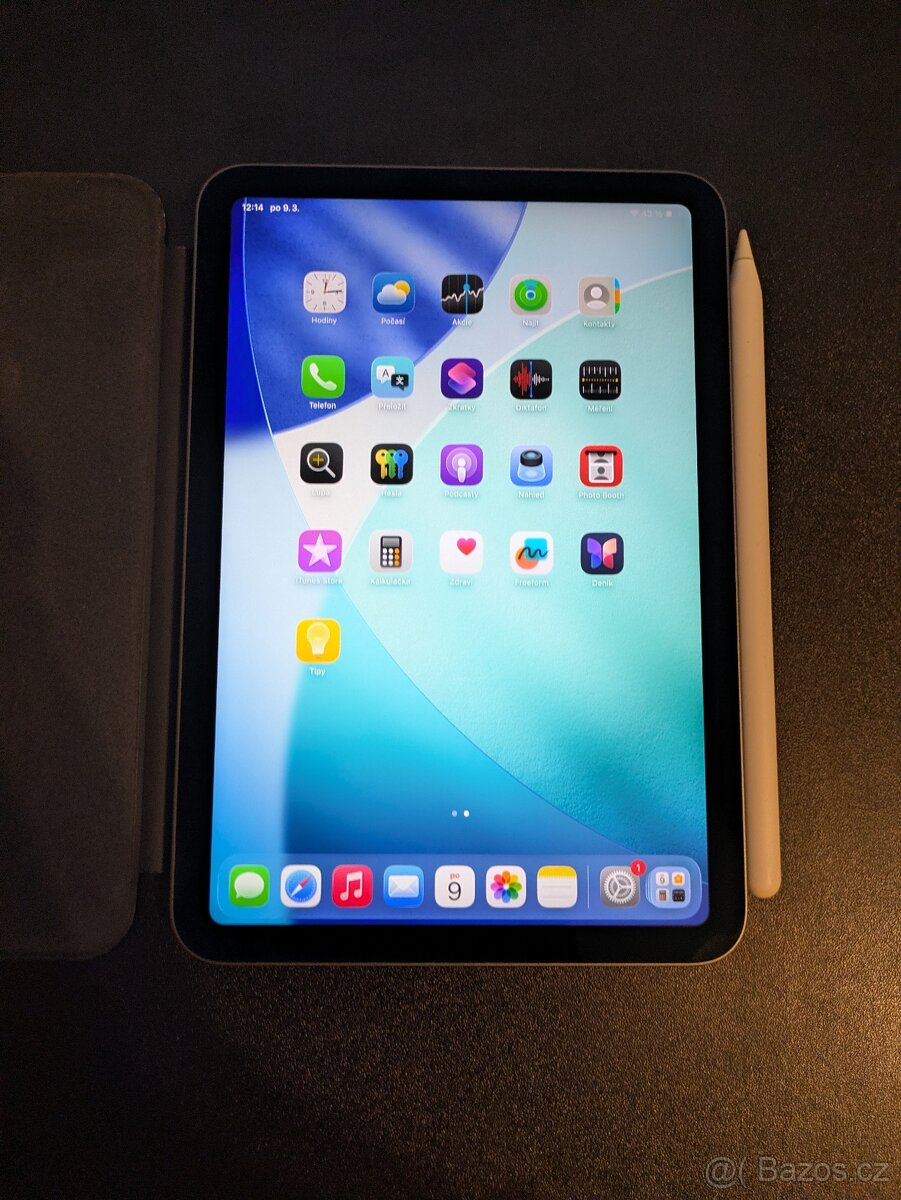 iPad mini 6 (2021) 256GB Wi-Fi Space Gray + Pencil - 2