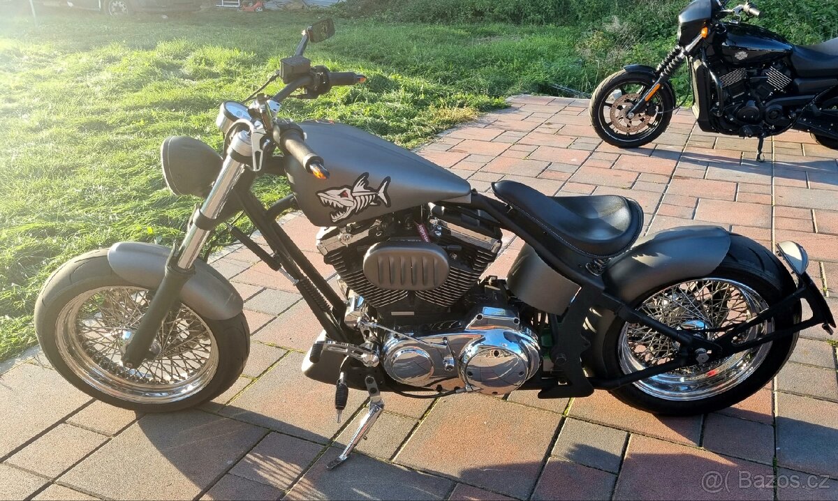 Harley Davidson Softail Custom 1200 i vyměním - 2