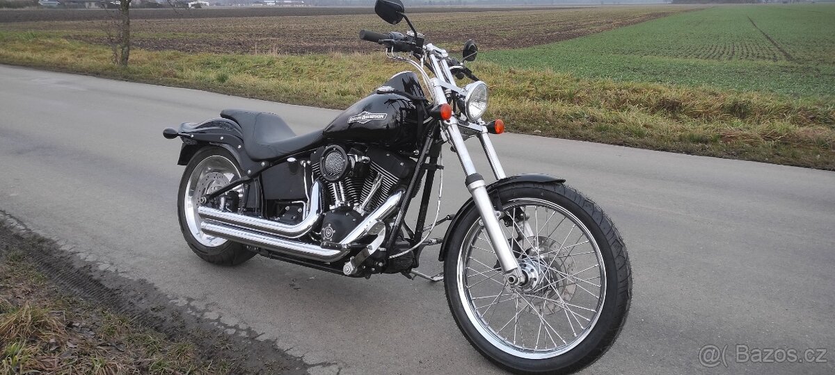 HARLEY DAVIDSON FXSTB Night Train - 2