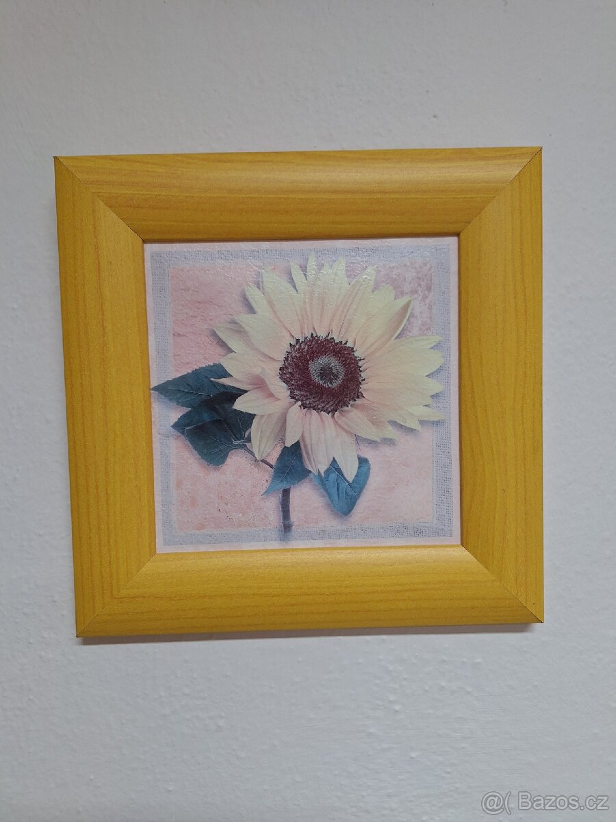 Obrázky nove 55x30,22,5x22,5 cm - 2