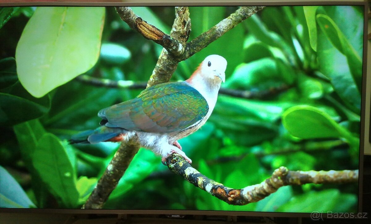 Prodam 55"(139cm) Android SMART WiFi 4k DVB-T2 LED TV Phili - 2