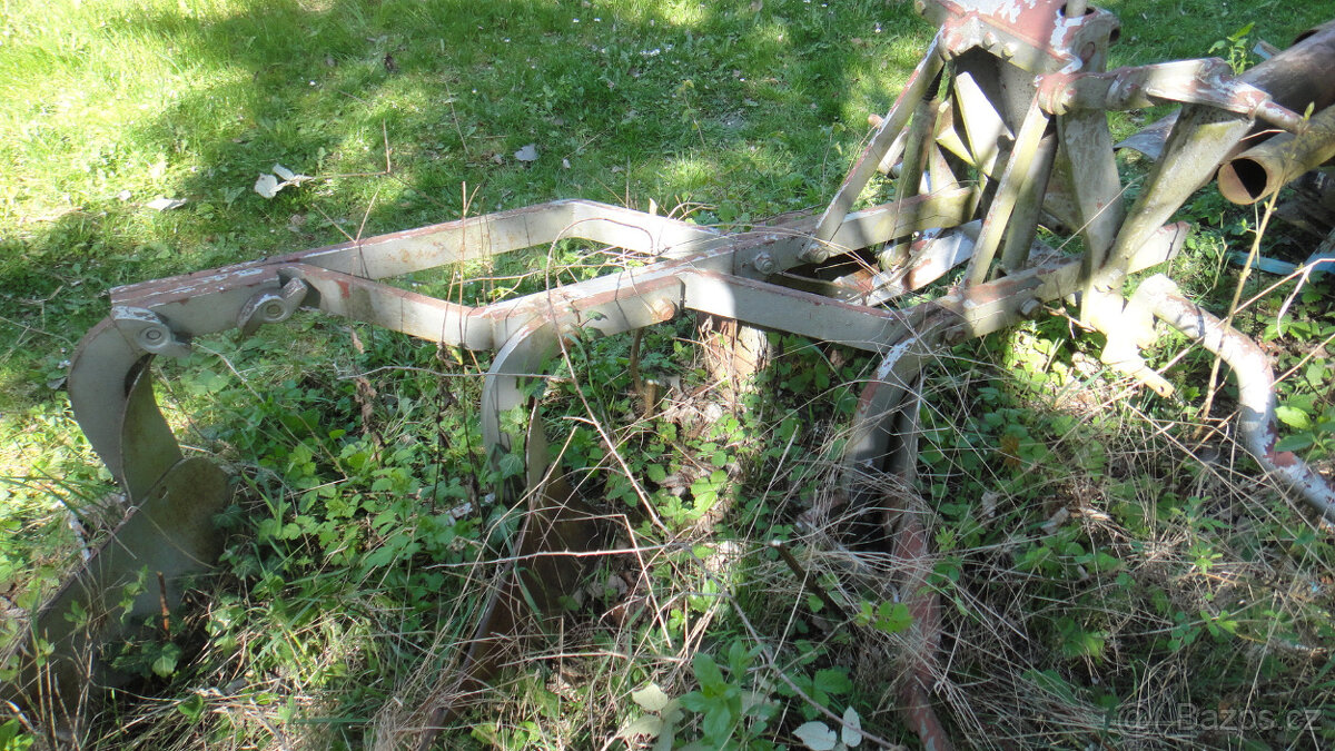 Pluh tříradličny - 2