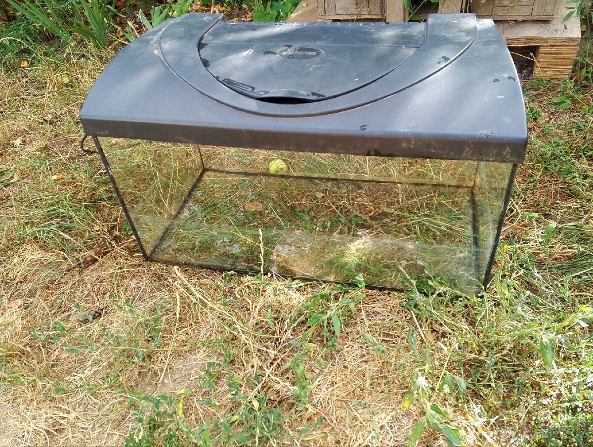 Akvária 60cm. - 2
