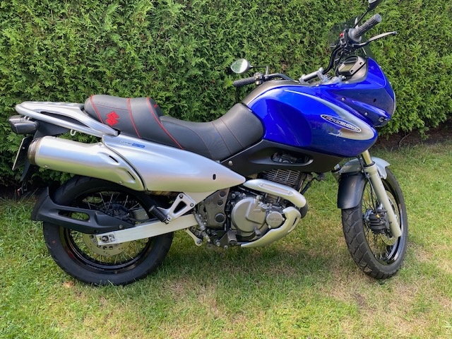 Suzuki XF 650 Freewind