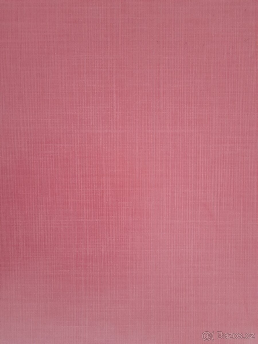 Keramická dlažba - 2