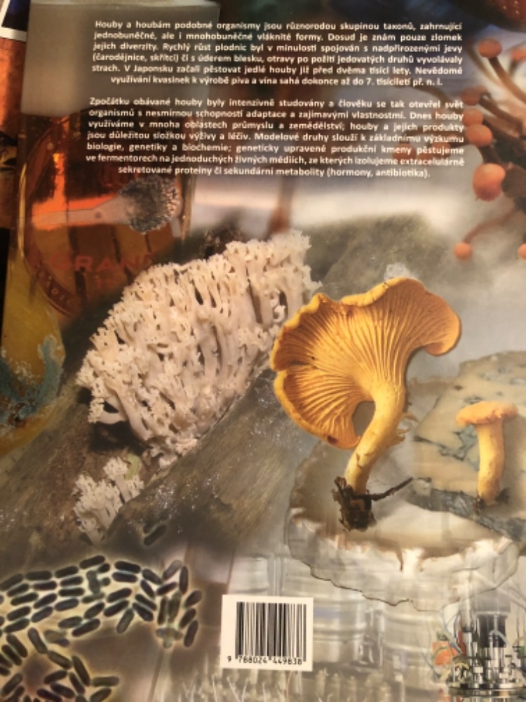 Houby -Biotechnologie - 2