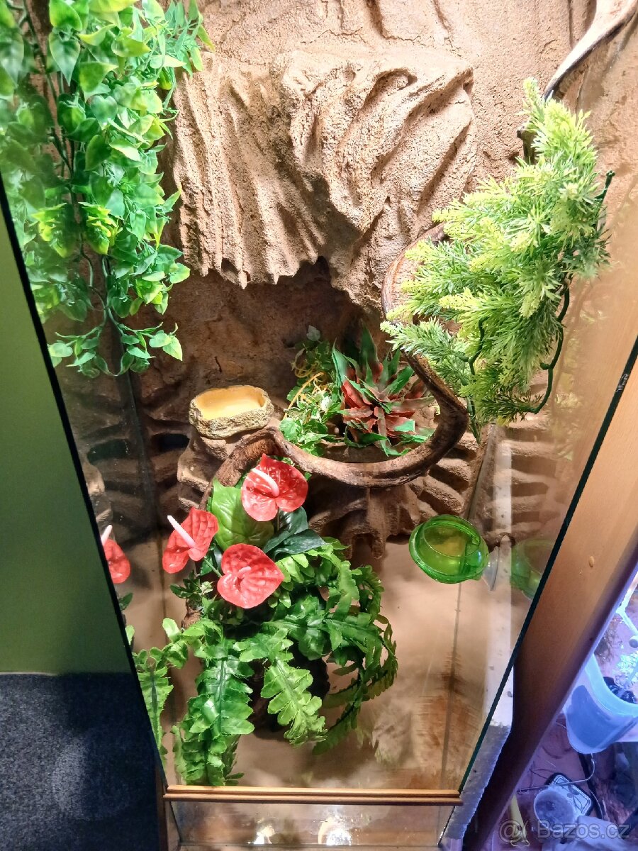 Terárium pro chameleona - 2
