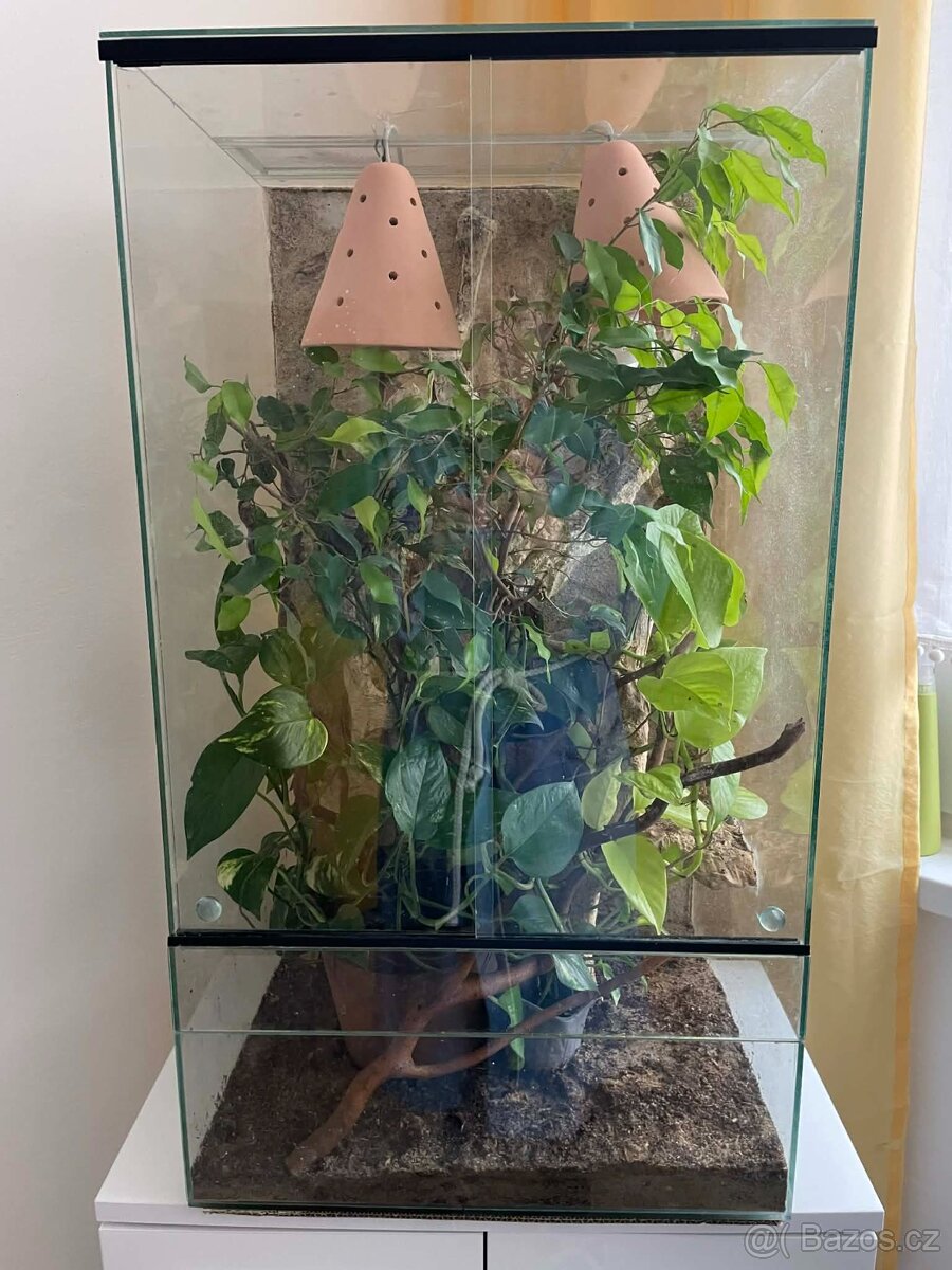 Terárium pro chameleona - 2