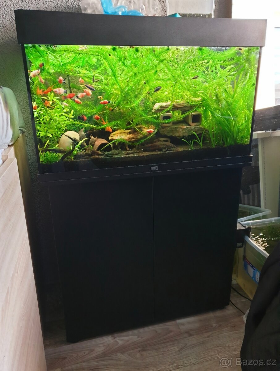 Juwel Rio 125 + Helialux Spectrum RGB + Control - 2